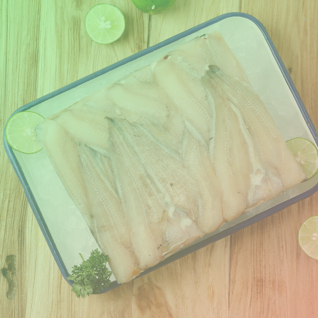 pescado JJC TRADING